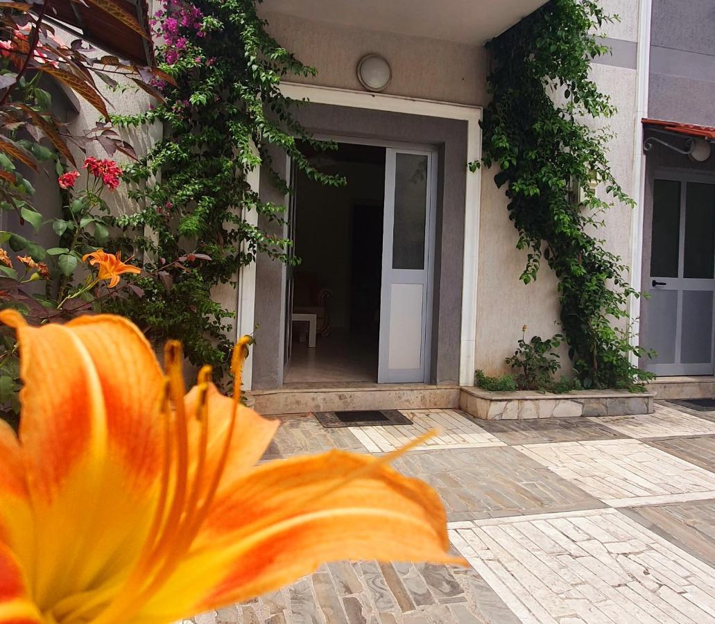 A Cheerful Villa With Free Parking Space Tirana Exteriér fotografie