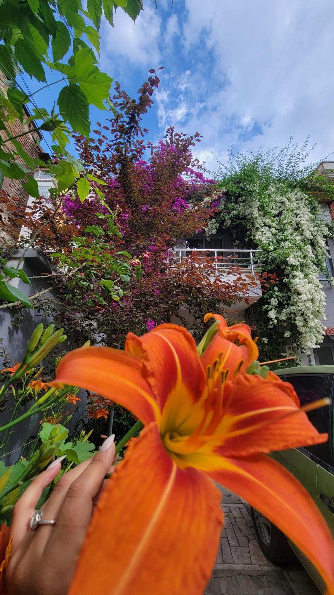 A Cheerful Villa With Free Parking Space Tirana Pokoj fotografie